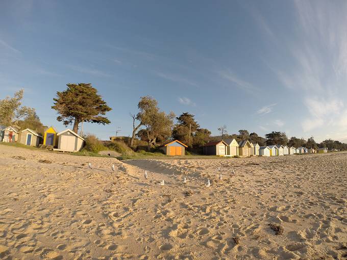 Safety Beach