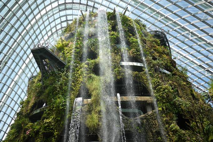 Cloud forest conservatory