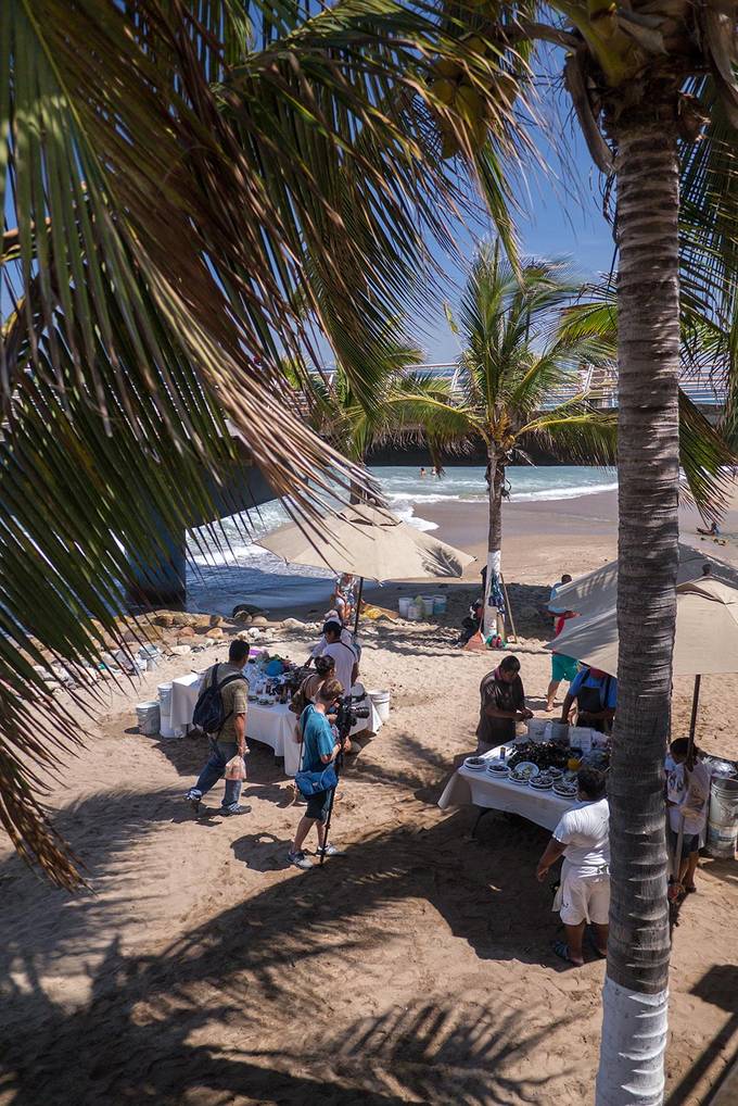 Oyster stand on the beach