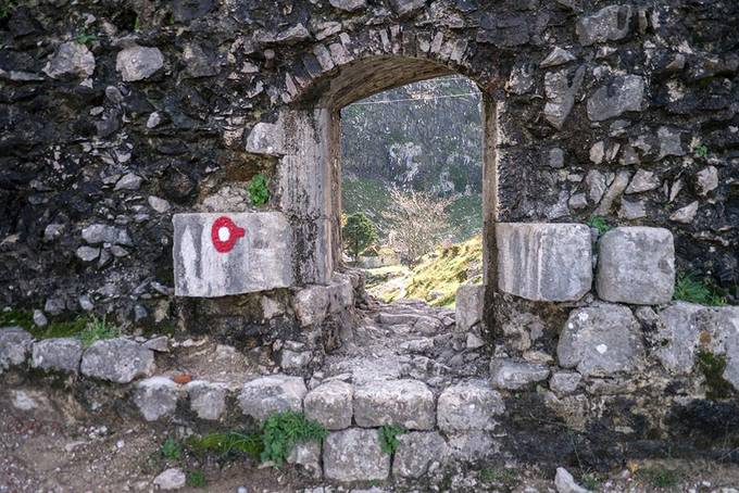 Red and white signs