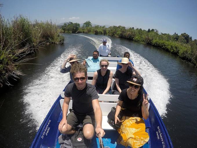 Cruising through the mangroves