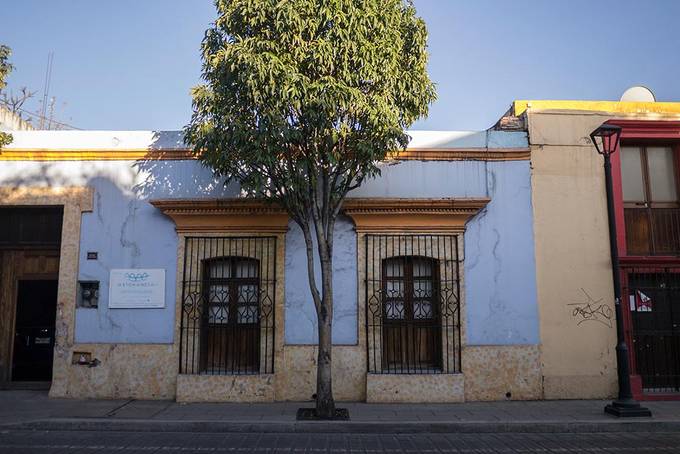 Oaxaca is full of colourful buildings and lots of trees