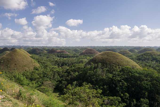 Bohol: chocolate hills, bikes and bug-eyes