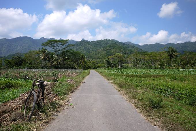 Bike in the countryside