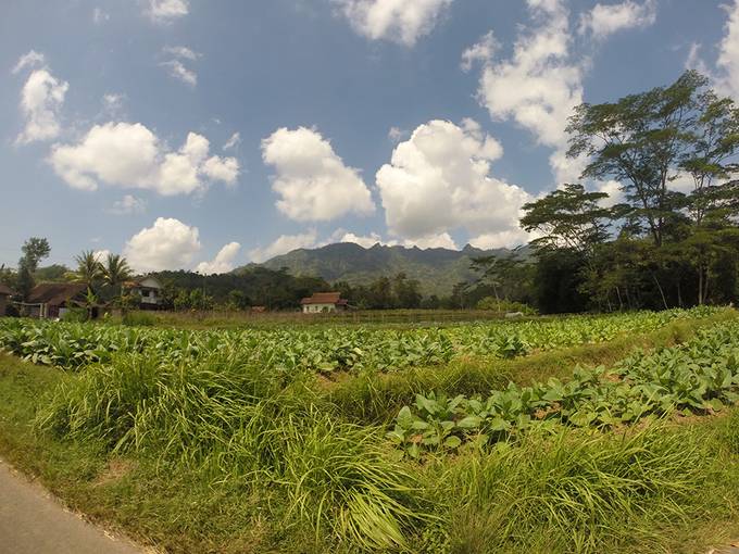 Borobudur countryside