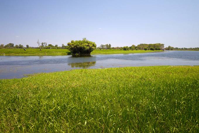 Kakadu wetlands