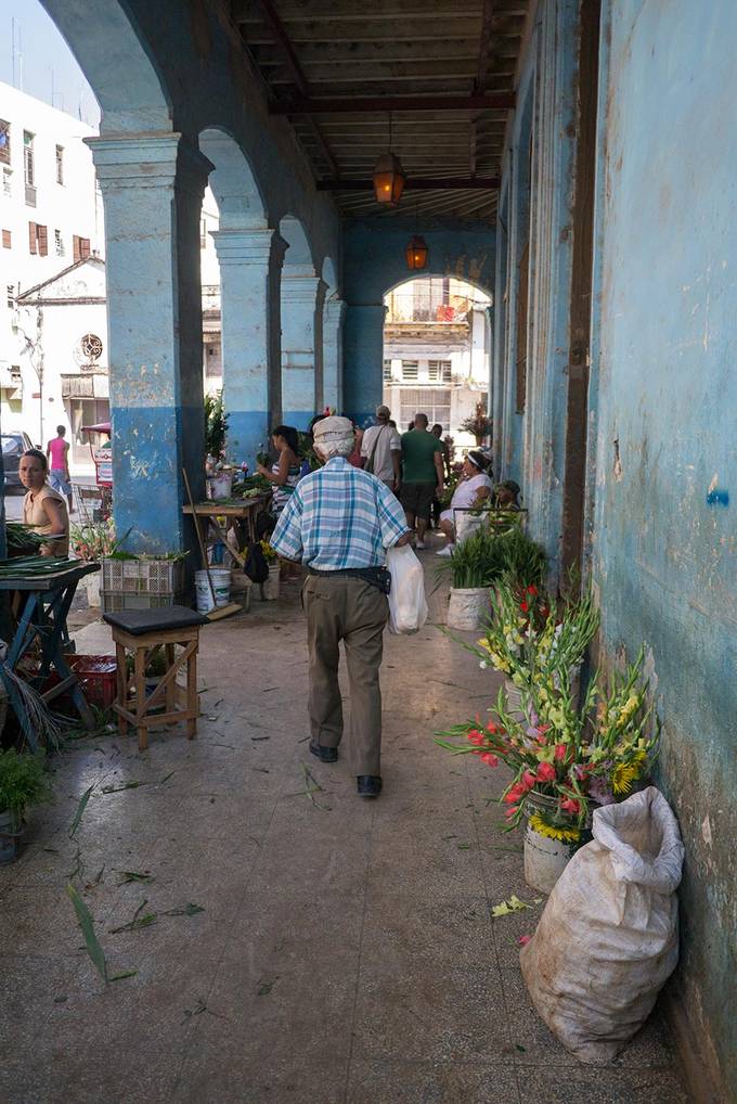 A flower market in Centro