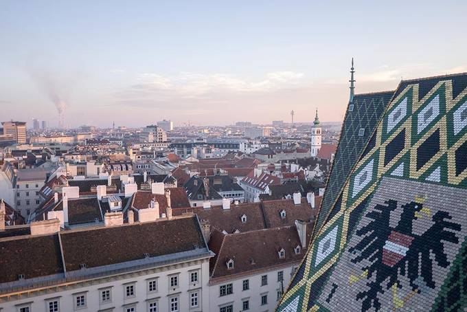 The patterned roof