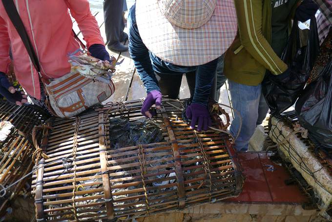 Crab boxes