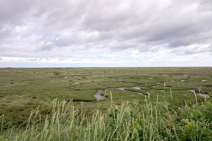 Stiffkey salt marshes