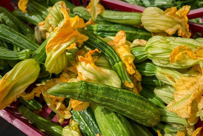 Courgette flowers for sale