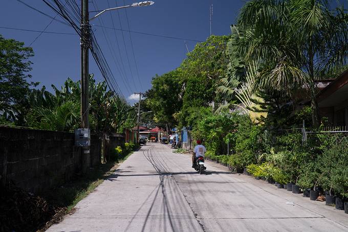 A very green street